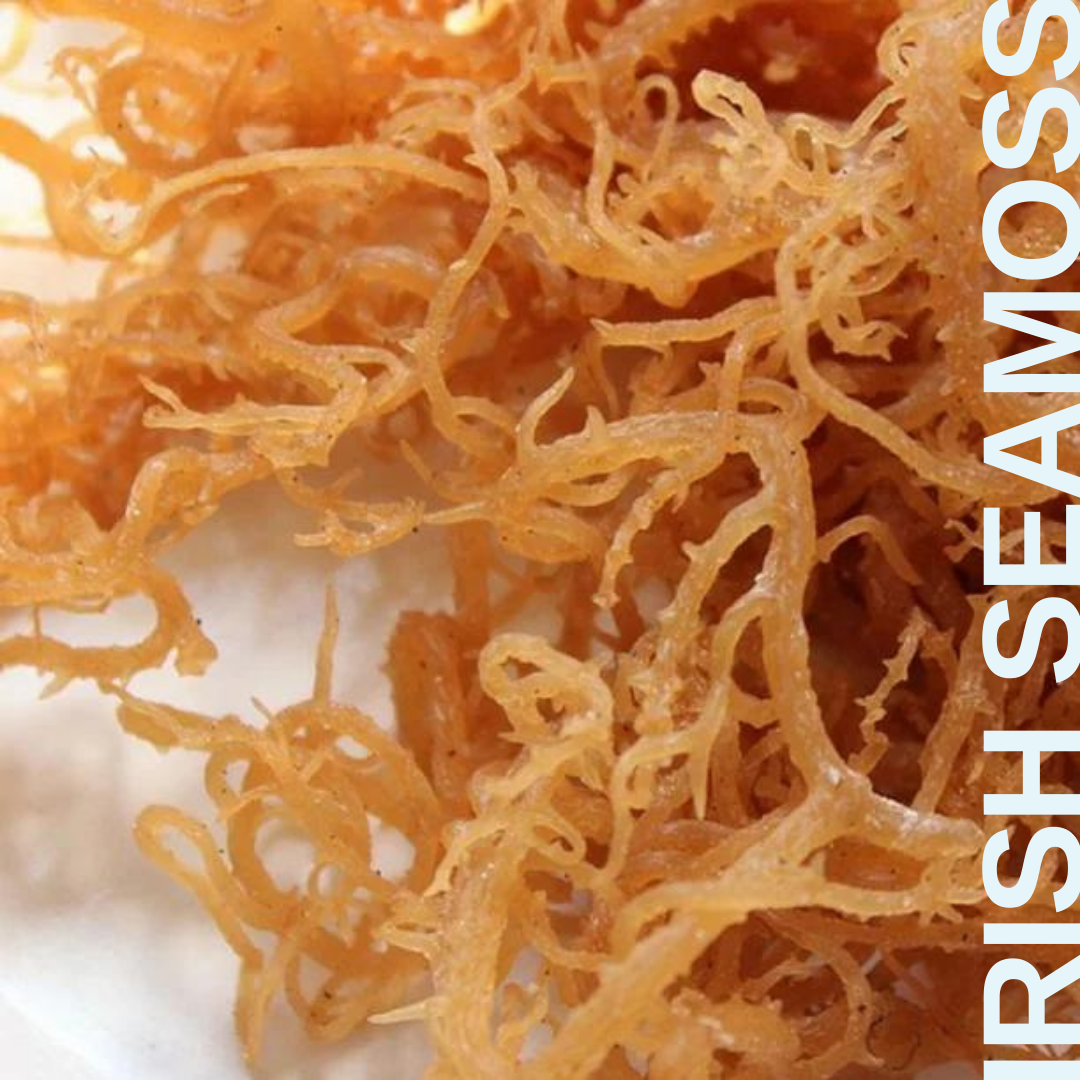Irish Seamoss